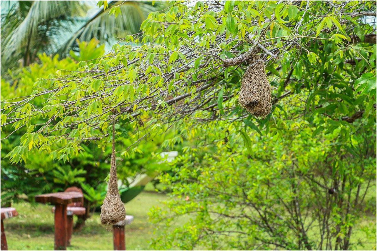 Yala Peace Cottages Tissamaharama Exterior foto